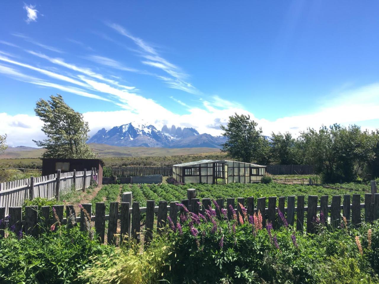 Hosteria Tercera Barranca Torres del Paine National Park Exterior foto